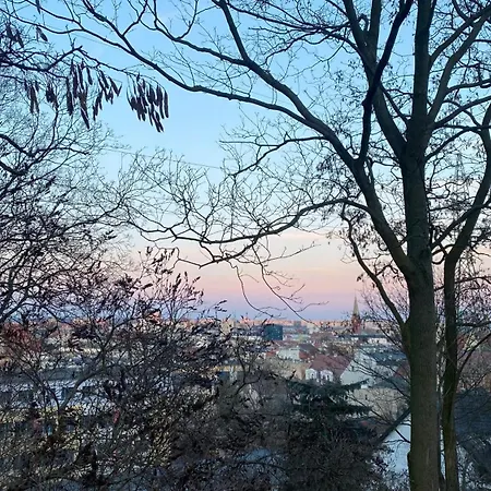 アパート Cozy Loft ビィドゴシュチュ